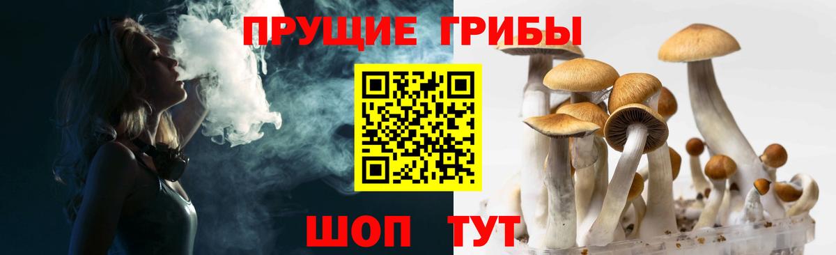 Галлюциногенные грибы MAGIC MUSHROOMS  Вход с VPN  Тельмана  Галлюциногенные грибы Cubensis 